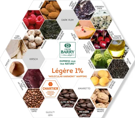 Cacao Barry Cocoa Powder Legere - 750g